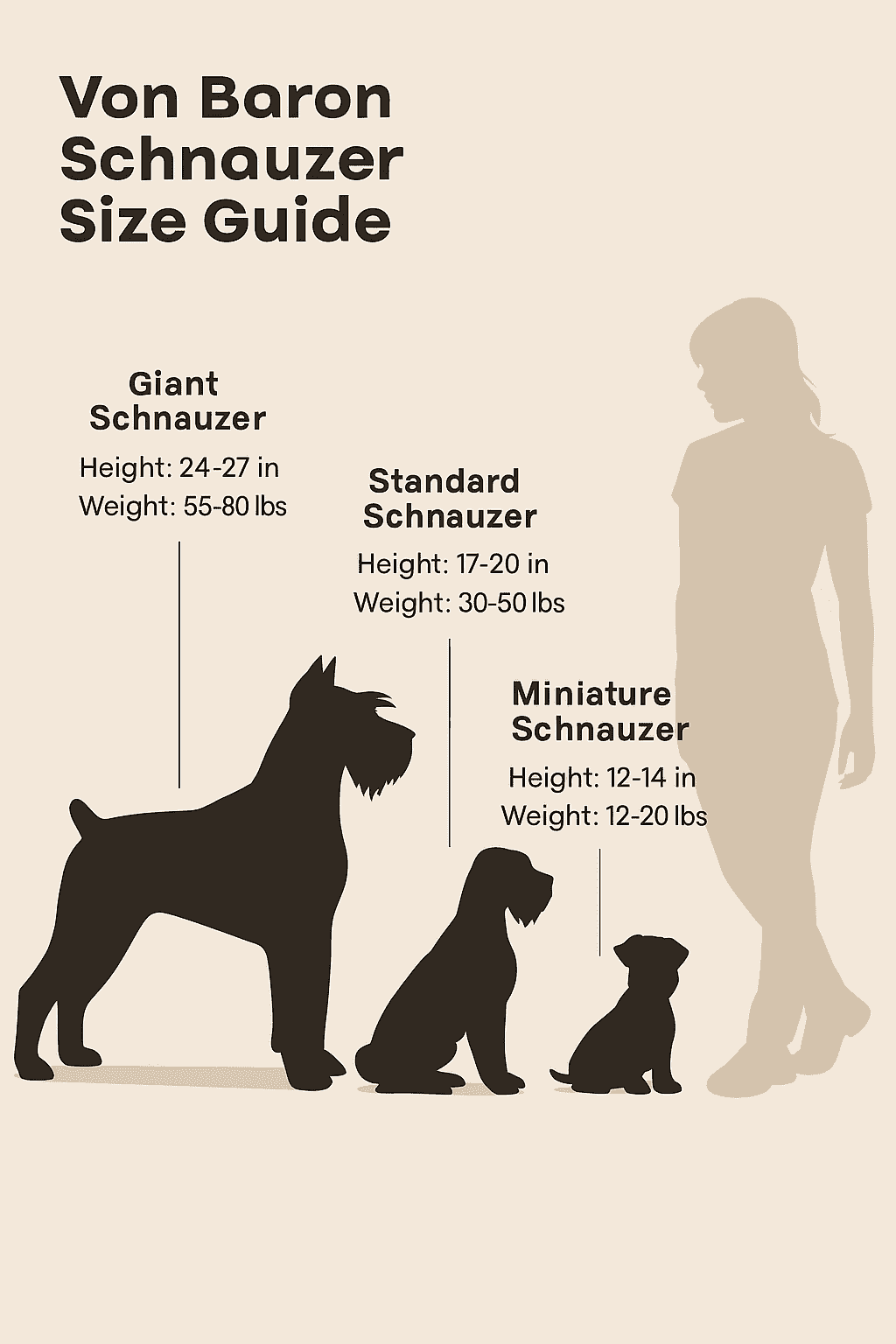 miniature schnauzer sizes