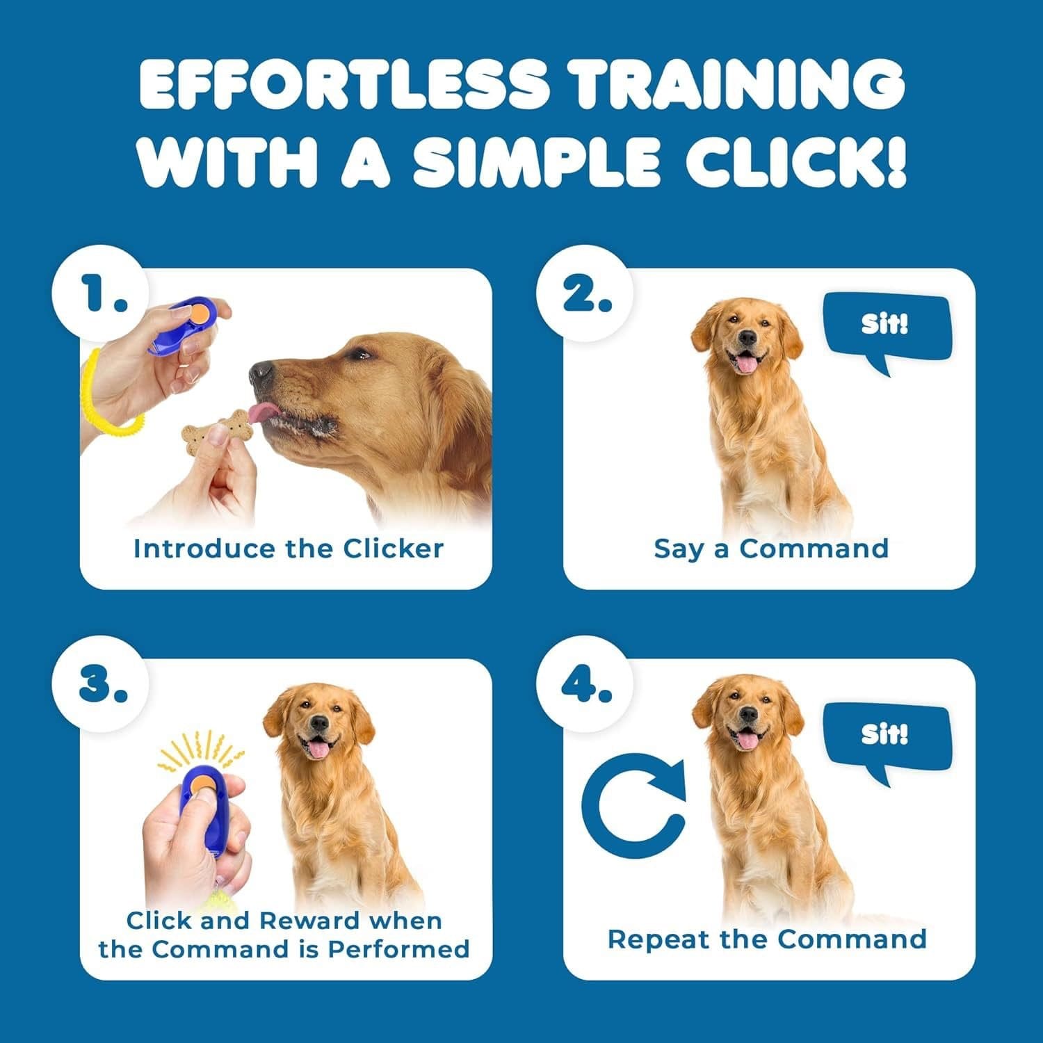 Clicker training for dogs