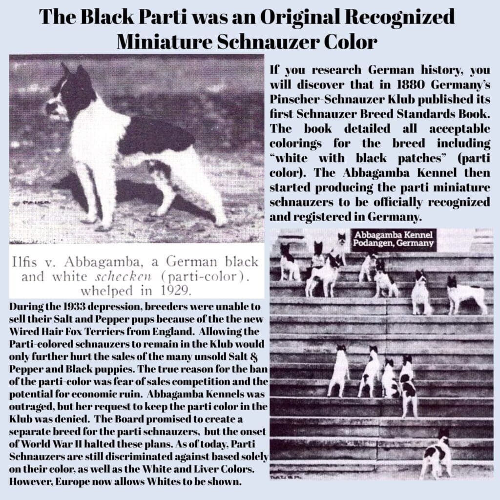 German parti history of the schnauzer