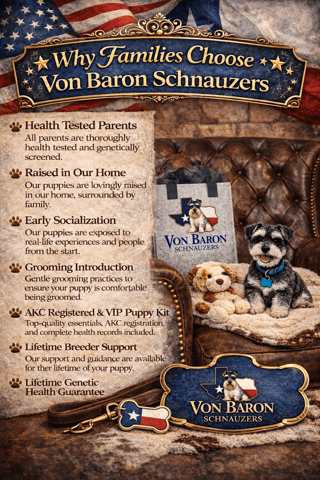 schnauzer breeder best in texas