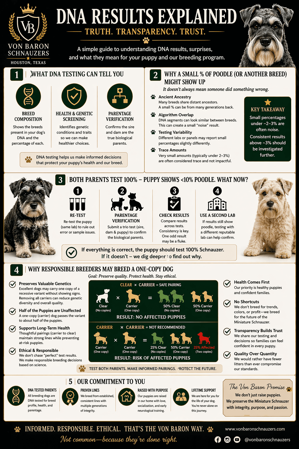 DNA genetics schnauzers 